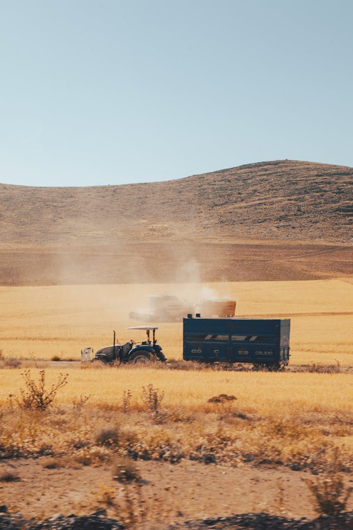 Tractor operating in a vast golden wheat field during summer in Konya, Turkey.